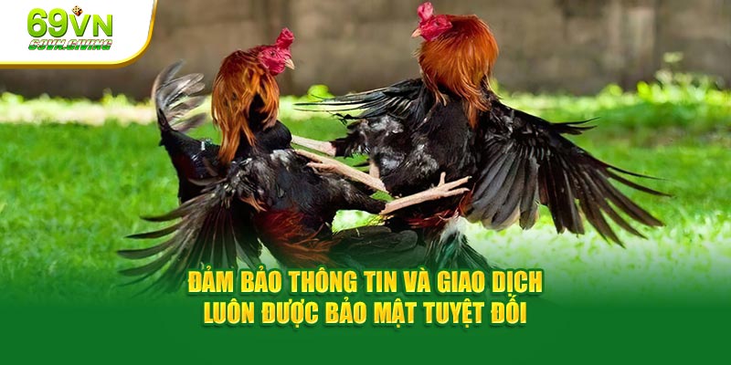Đảm bảo thông tin và giao dịch luôn được bảo mật tuyệt đối
