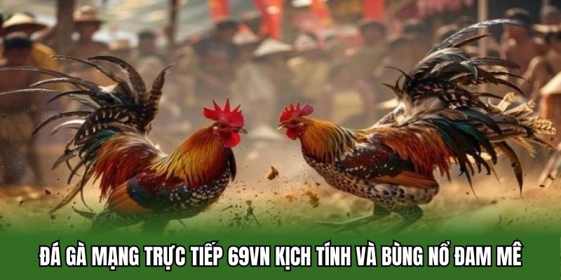 Đá Gà Mạng Trực Tiếp 69vn - Kịch Tính Và Bùng Nổ Đam Mê