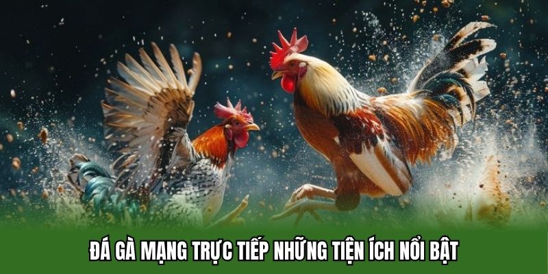Đá gà mạng trực tiếp những tiện ích nổi bật