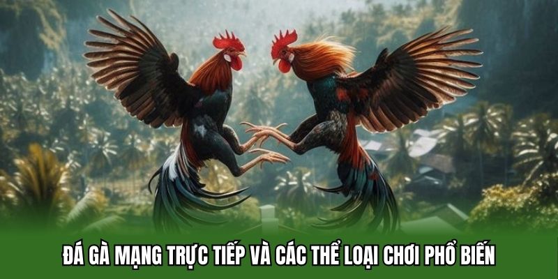 Đá gà mạng trực tiếp và các thể loại chơi phổ biến